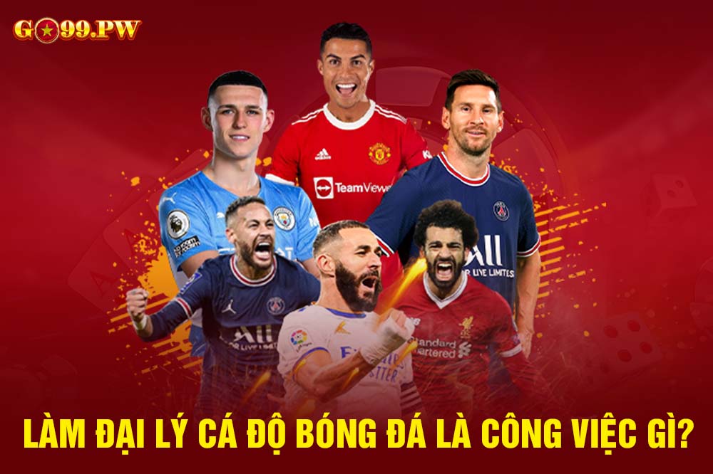 Làm đại lý cá độ bóng đá 2023 là công việc tiềm năng cho nhiều người