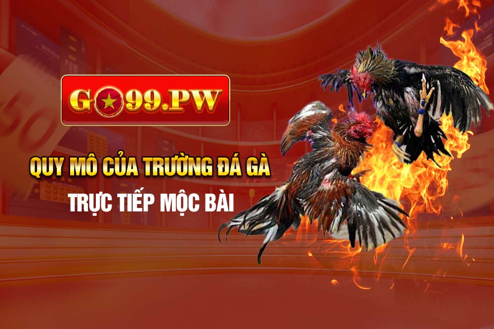 Đá gà trực tiếp Mộc Bài được bố trí hợp lý nhằm giúp người xem có thể thỏa mãn nhu cầu